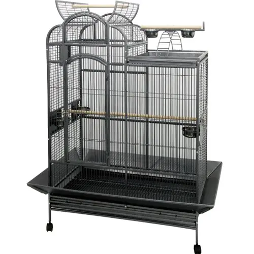 Papegaaienkooi Venus Silvertone Grey Favoriet
