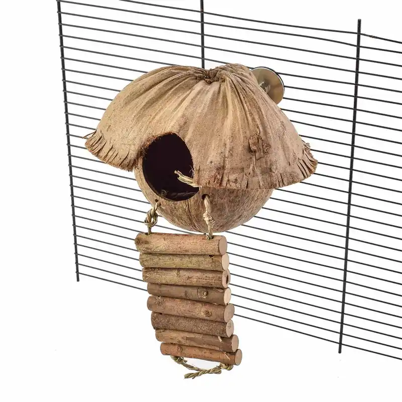 Kokoshuisje Cozy Direct Beschikbaar