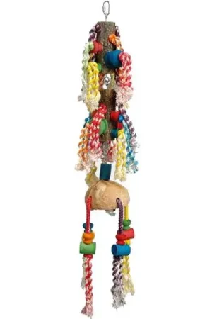 Flitsaanbieding Quapas! Coco Fantasy
