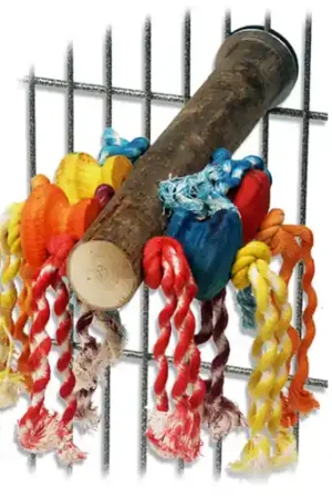 Quapas! Fun Perch Goedkoop