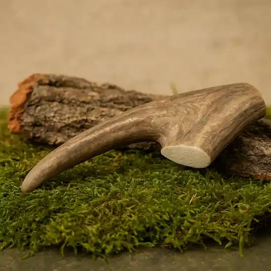 Superprijs Harde Hertengewei XL 121-160 gram