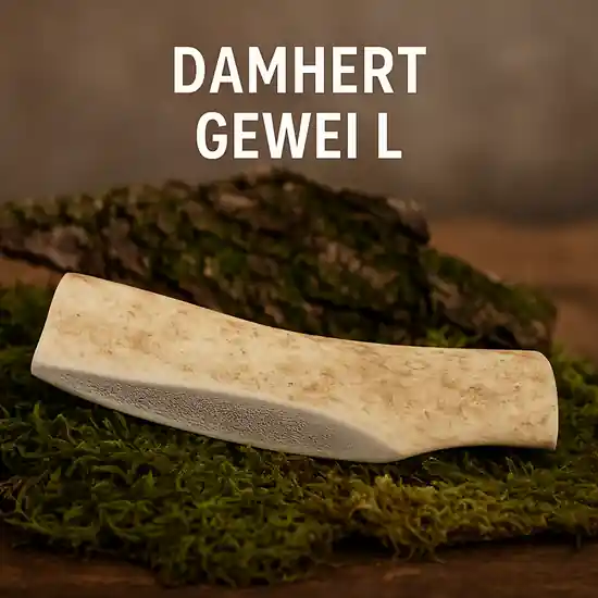 Beperkt Aanbod Damhert Gewei L 61-80 gram
