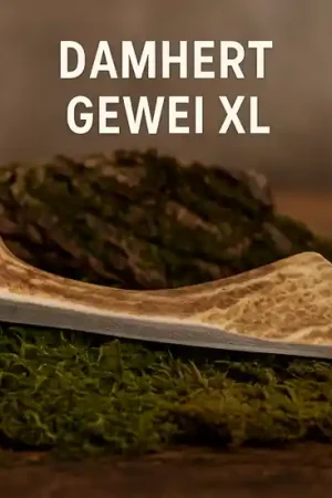 Alleen Vandaag Damhert Gewei XL 81-120 gram