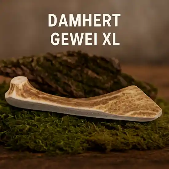 Alleen Vandaag Damhert Gewei XL 81-120 gram