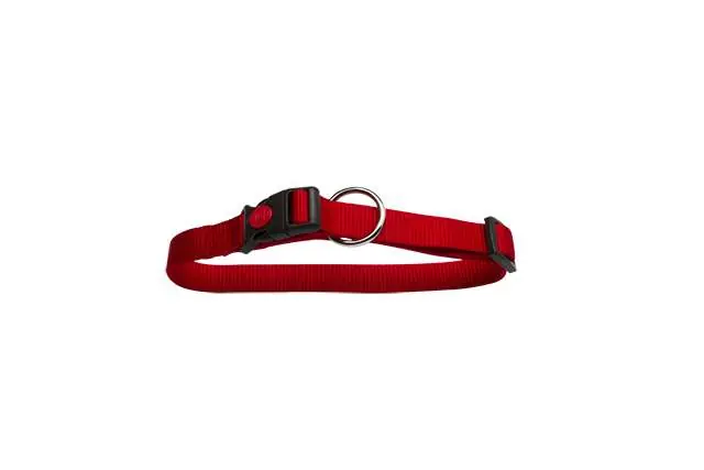 Aanbieding Nylon hondenhalsband – rood