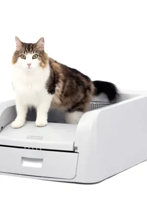 Alleen Vandaag Petsafe ScoopFree Klontvormende Zelfreinigende Kattenbak
