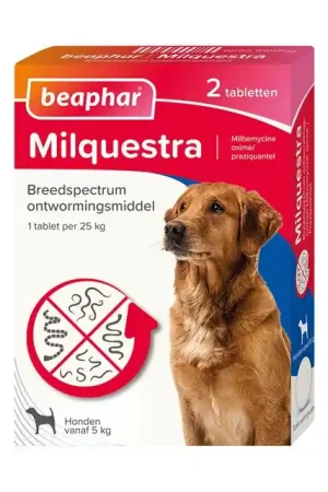 Beaphar Milquestra Hond 5-50kg 2-Tabletten Actieprijs