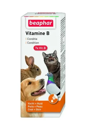 Shop Nu Beaphar Vitamine B-Complex 50 ml