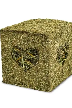 Koop Online JR Farm Hooiblok met Meelwormen 125gr