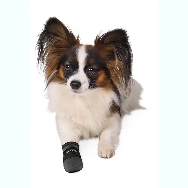 Voordeelprijs Trixie Hondenschoen Walker Care Pootbescherming 2 stuks - M