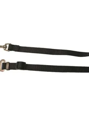 Autogordel hond 20mm /40-60cm Lage Kosten