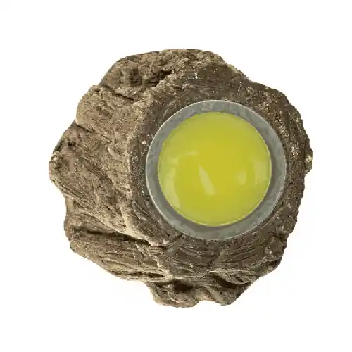 Back zoo nature Fruit Cup Holder Bark Veilige Betaling