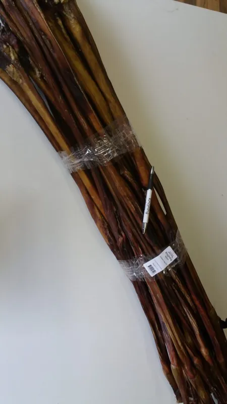 Actieprijs Bullepees lang 110cm -120cm