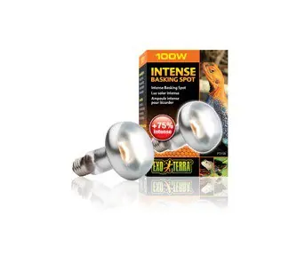 Exo terra intense basking spot 100W Goedkoop
