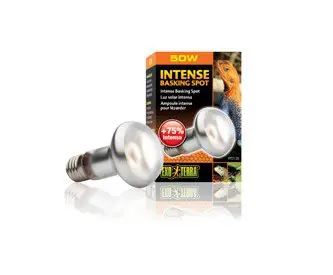 Koop Vandaag Exo Terra Intense Basking Spot 50W