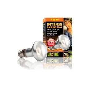 Exo Terra Intense Basking Spot 75W Populair