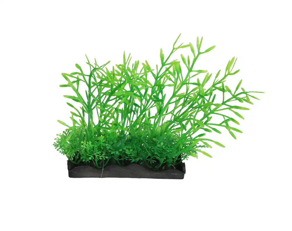 Koop Vandaag kunstplant Aqua Willow 15cm