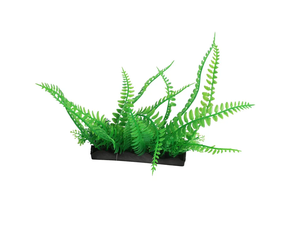 Weekendaanbieding kunstplant Lagoon Fern 12cm