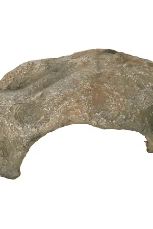 Premium Reptielen schuilplaats maat L 27cm