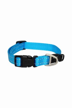 Beperkte Voorraad Rogz Utility halsband Turquoise, diverse maten