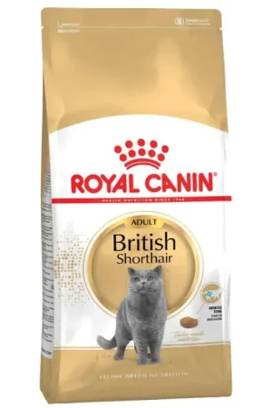 Alleen Vandaag Royal canin British shorthair adult 2kg