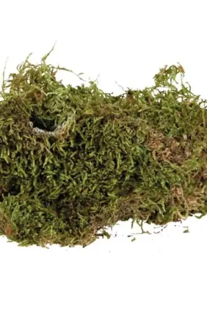Terrariummos 200gr Hoge Kwaliteit