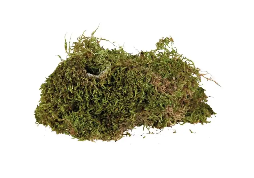 Terrariummos 200gr Hoge Kwaliteit
