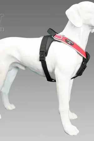 Tre-ponti Volta Must-Have