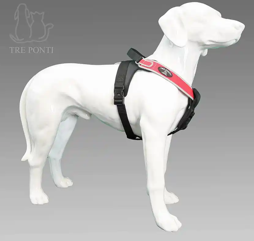 Tre-ponti Volta Must-Have