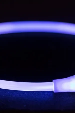 USB Flash Lichtgevende Halsband blauw (L-XL) Direct Verzonden