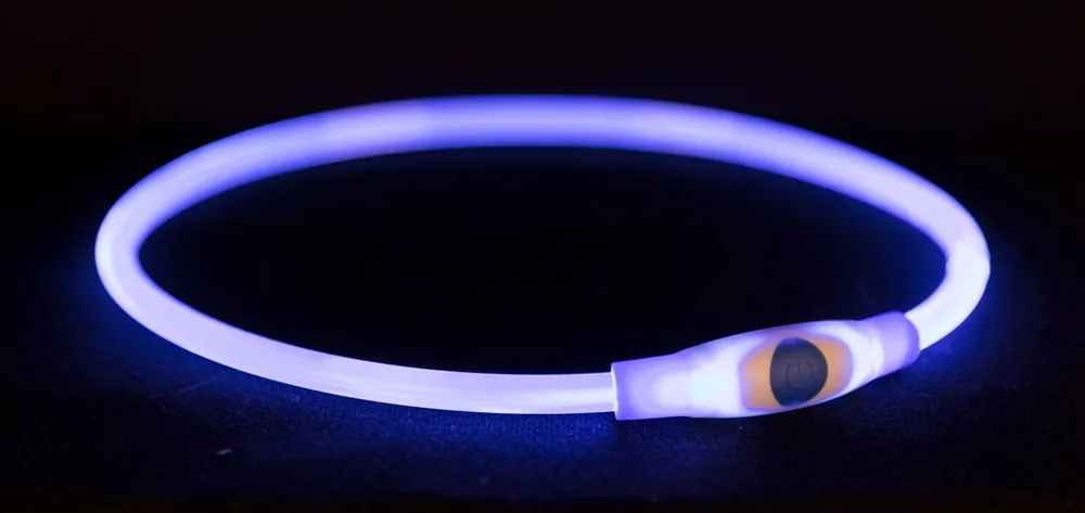 USB Flash Lichtgevende Halsband blauw (L-XL) Direct Verzonden