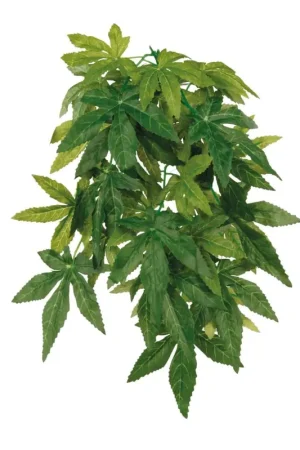 Seizoensaanbieding Zijden Hangplant Abutilon 20 × 30 cm
