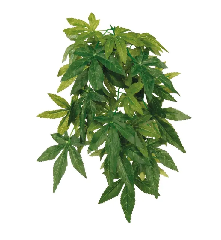 Seizoensaanbieding Zijden Hangplant Abutilon 20 × 30 cm